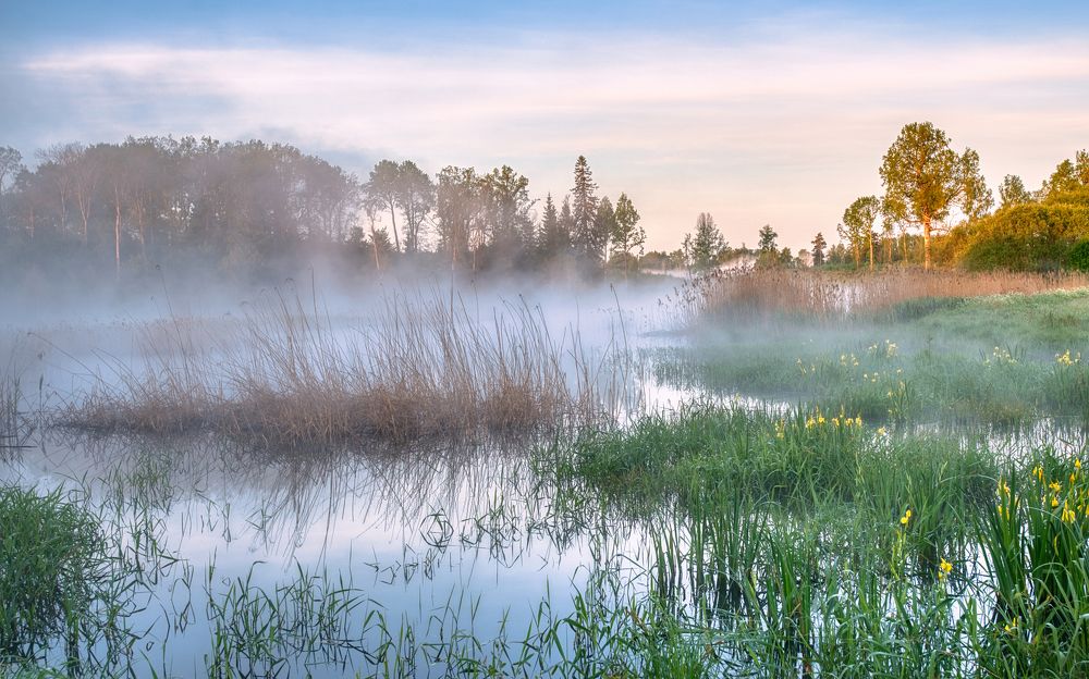 Photograph by Albina Kulikova