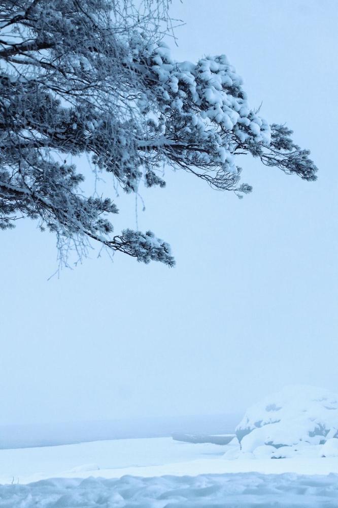 Photograph by Татьяна Кужлекова