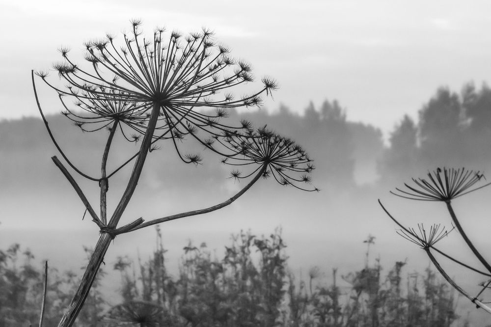 Photograph by Андрей