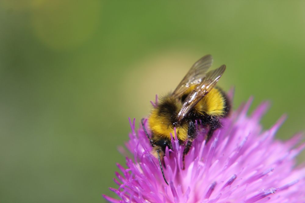 Photograph by Yordanka Vasileva