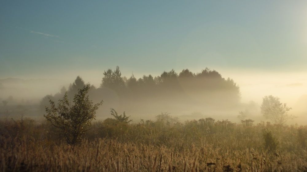 Photograph by Инна Карасева