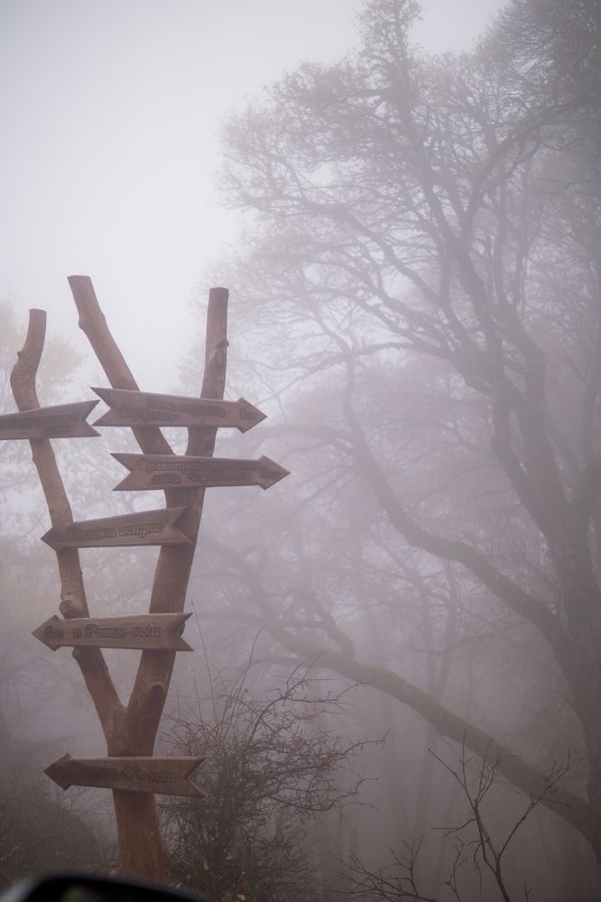 Photograph by Анна Изюмская