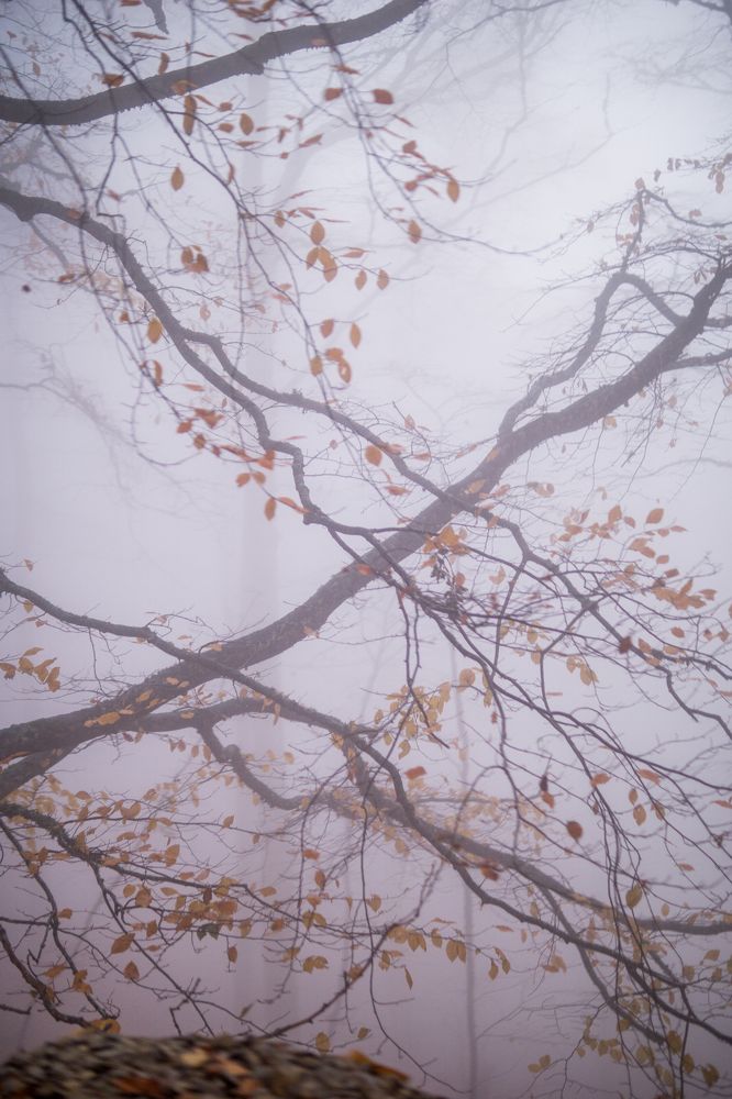 Photograph by Анна Изюмская