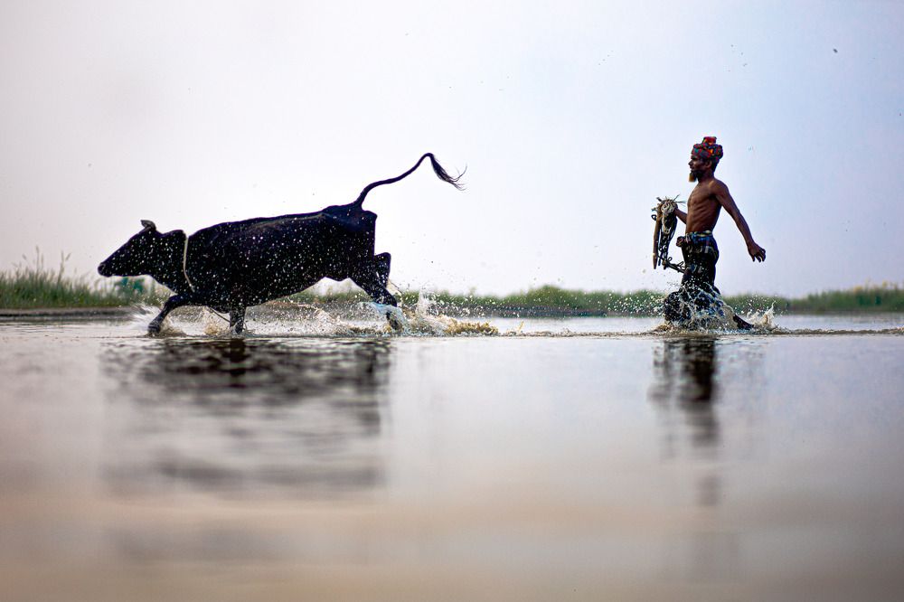 Photograph by Muhaiminur Rakib