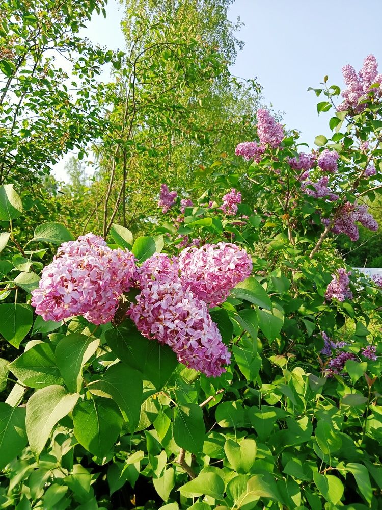 Photograph by Валентина Смирнова