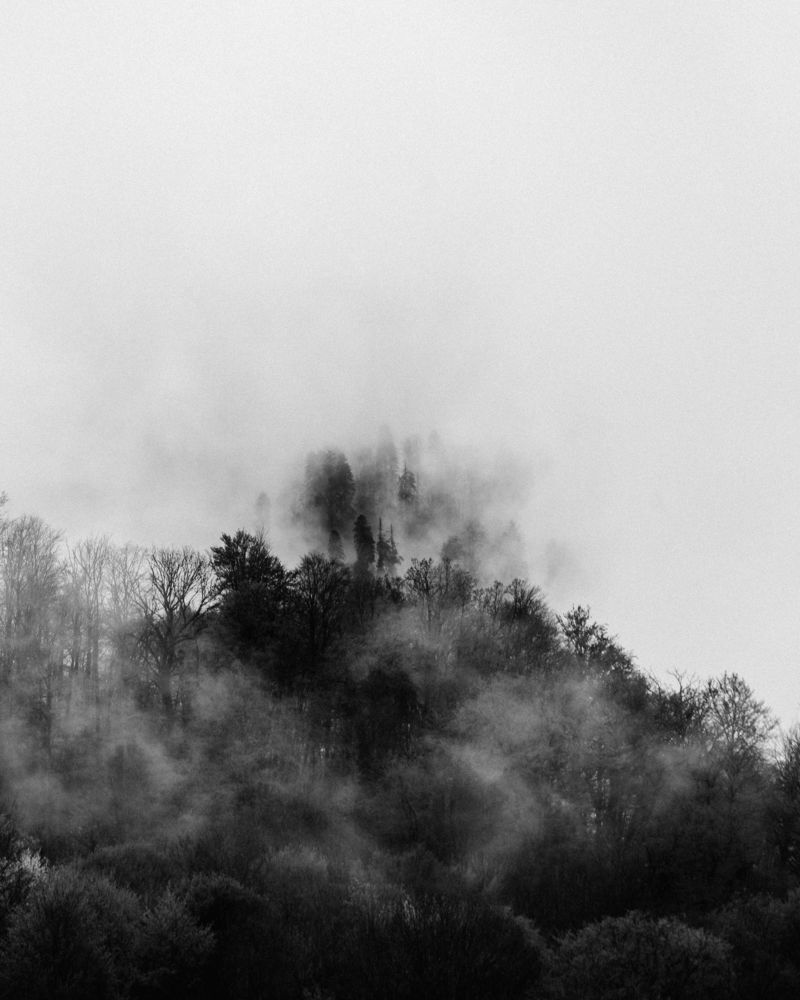 Photograph by Ленар Карим