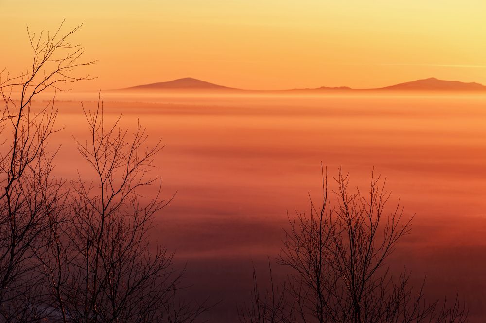 Photograph by Соколова Елена