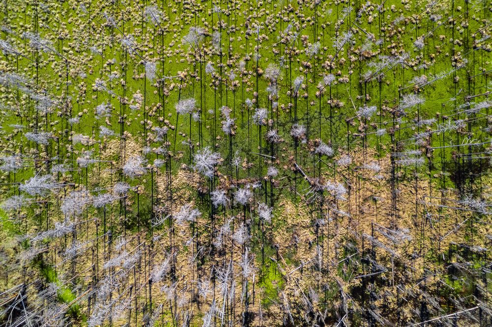 Photograph by Артем Ильин