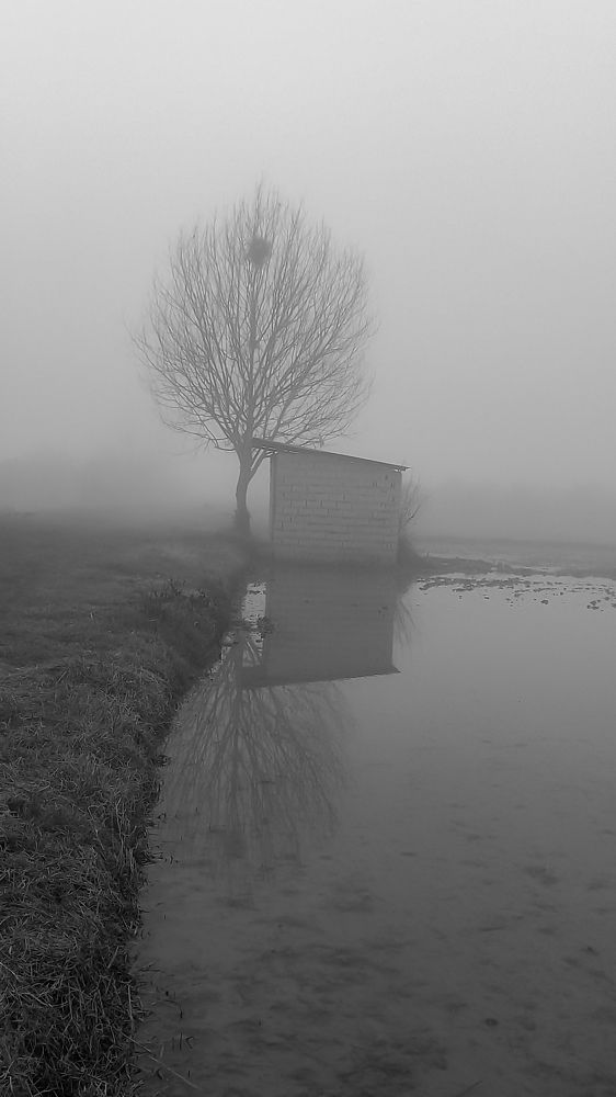 Photograph by mahdi ghanbari