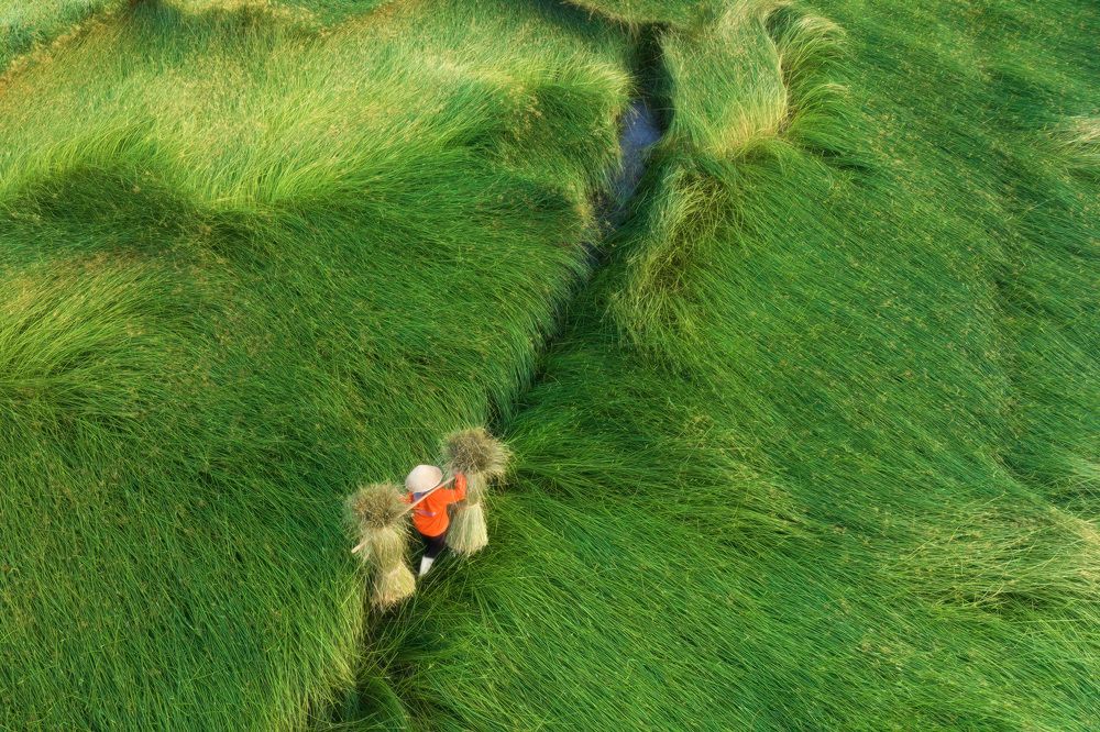 Photograph by Nguyen Ngoc Tuan