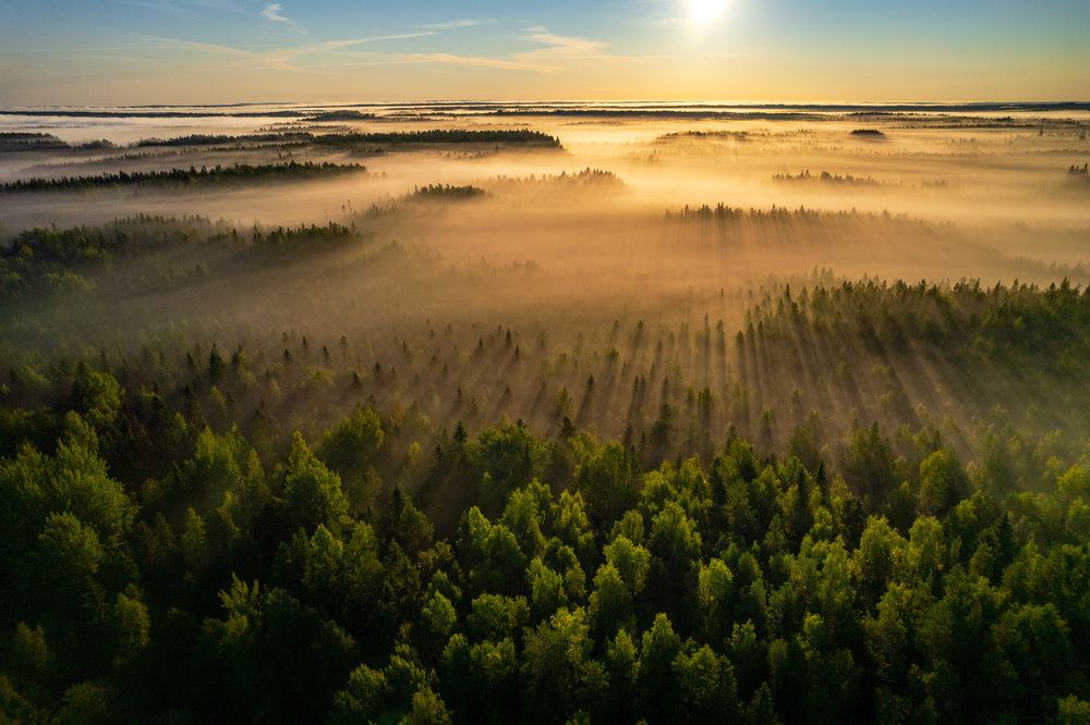 Photograph by Артем Ильин