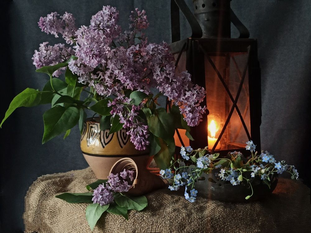 Сиреневый вечер