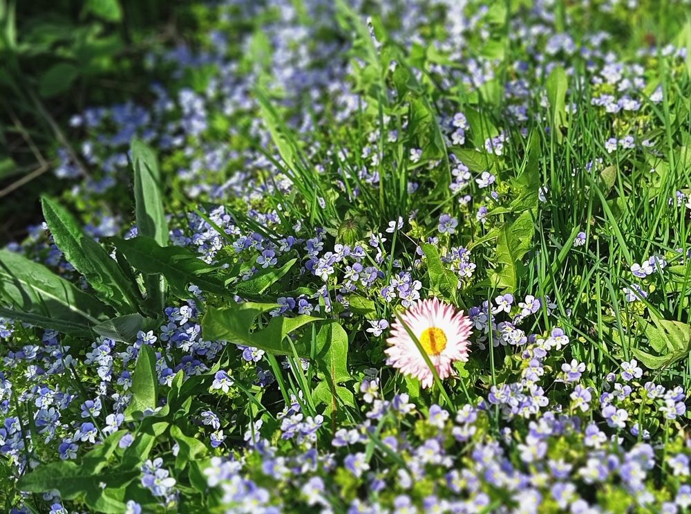 Photograph by Валентина Смирнова