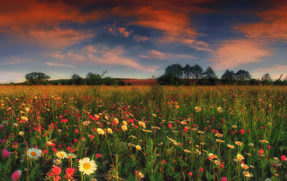 Photograph by Владимир