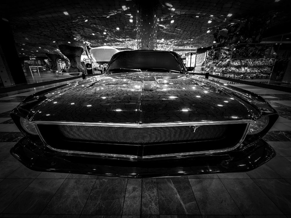 Photograph by Chic.chiquitita