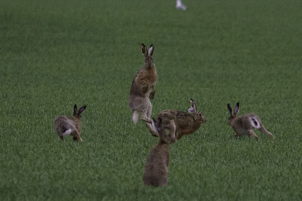 Photograph by Anna Sindikayeva