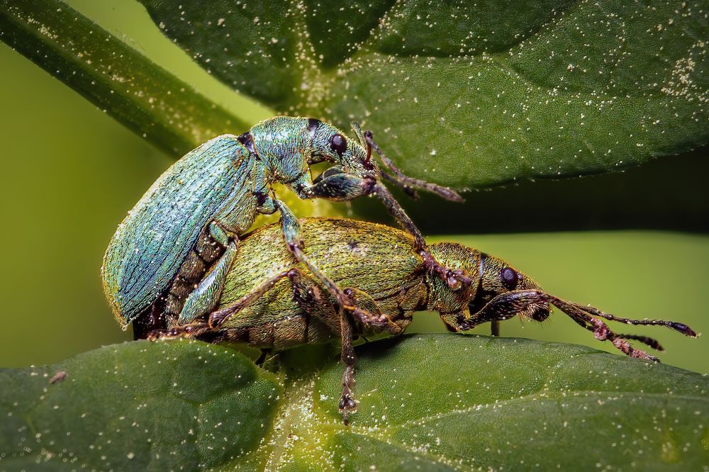 Photograph by Парфентьев Антон