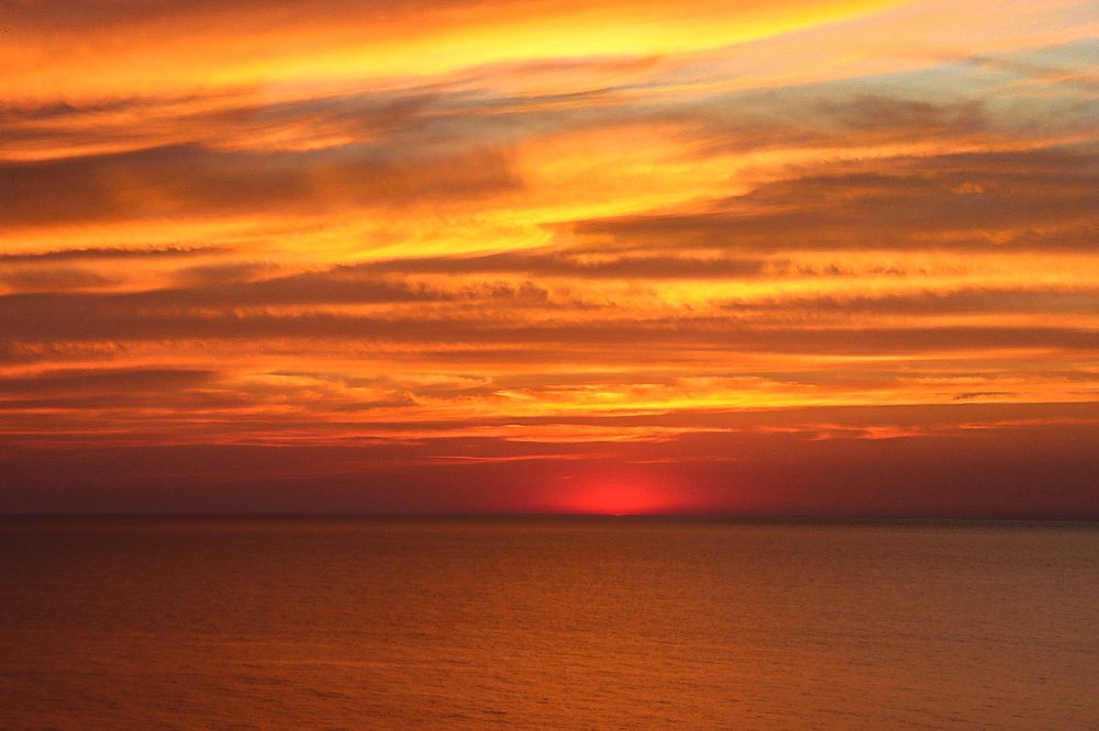 Фотография автора Елена