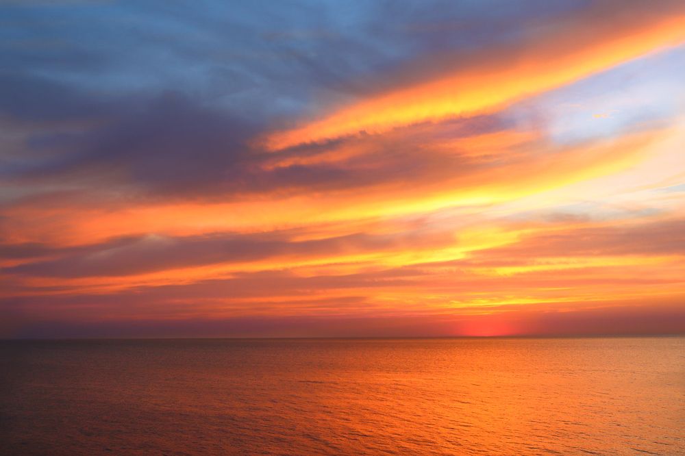 Фотография автора Елена