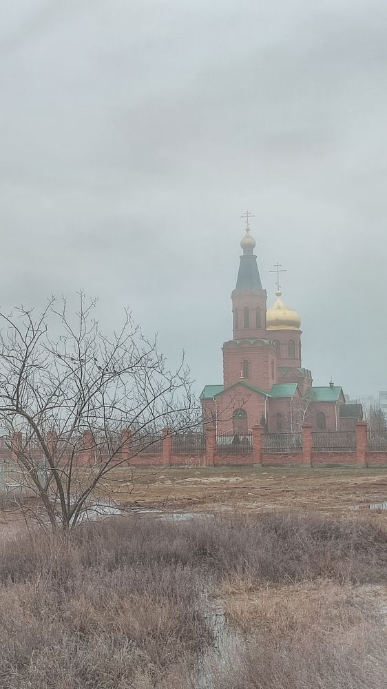 Фотография автора Анастасия Мамаева