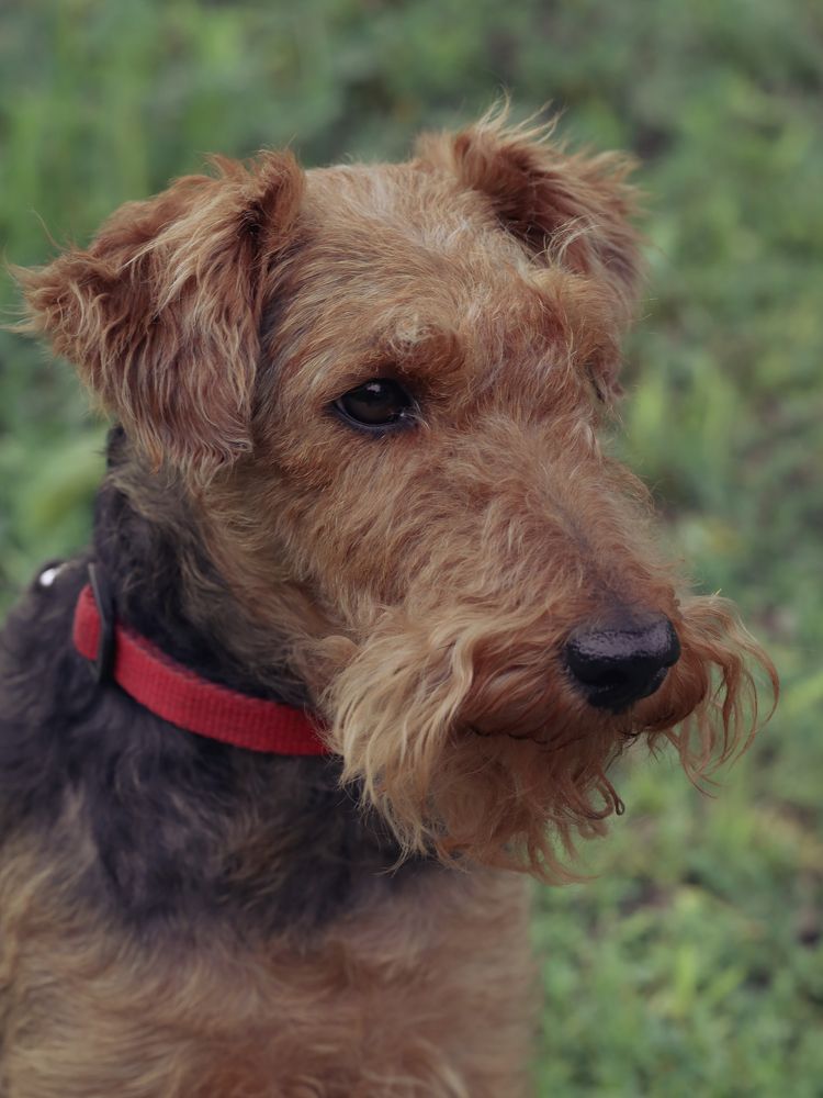 Photograph by Ирина Серегина