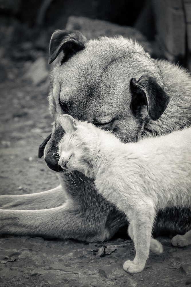 Photograph by Алексей Стариков (AlexOldmanPhoto)