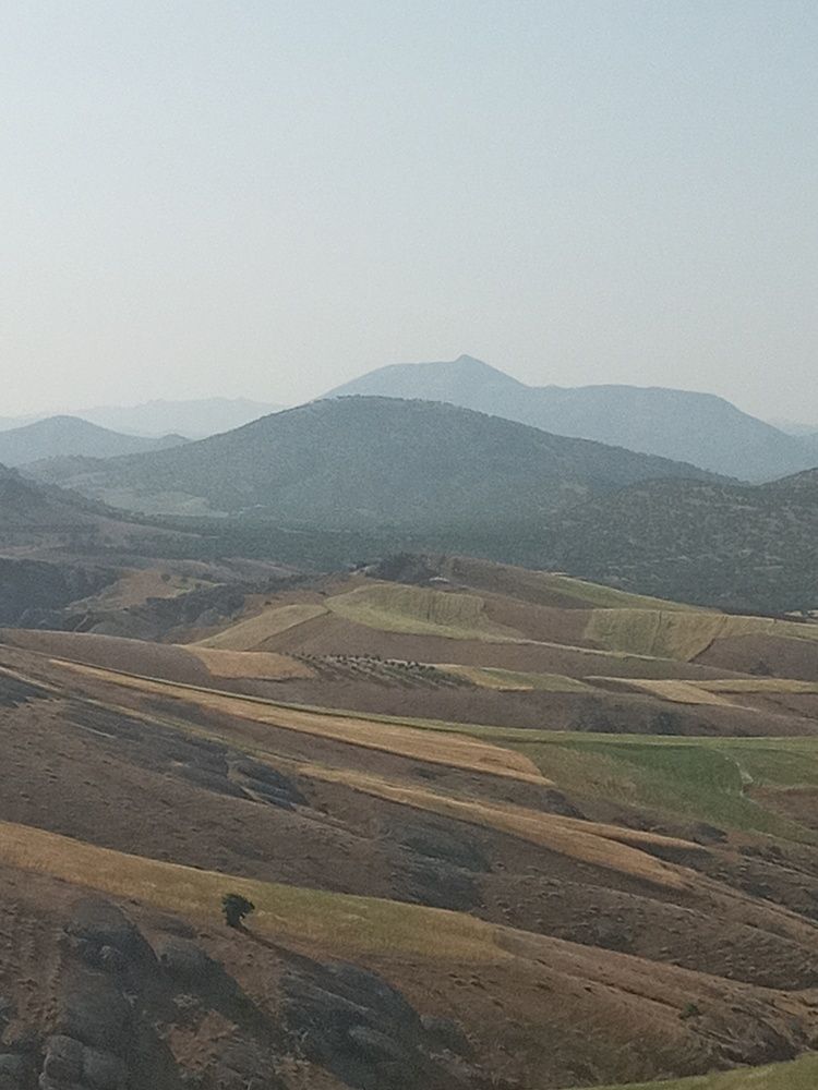 Photograph by Rahimi Rahim