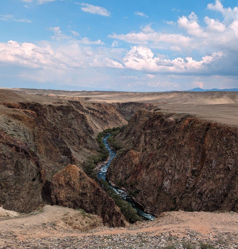 Photograph by Дарья Булавина