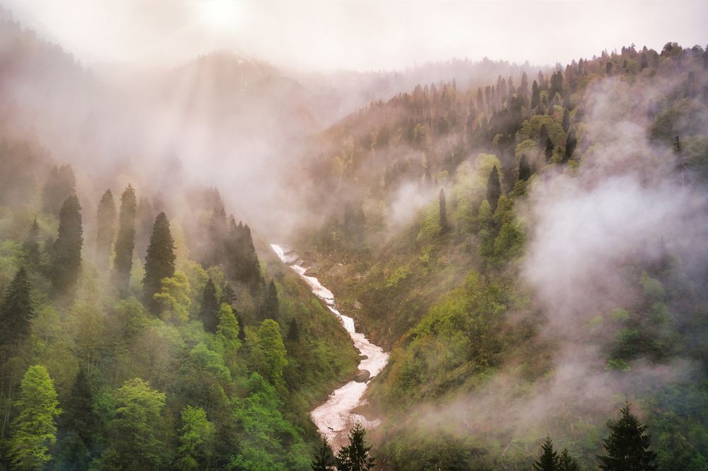 Photograph by Abdullah Al Battah