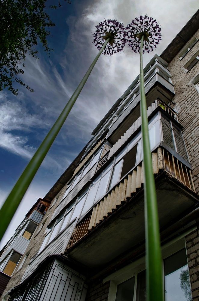 Photograph by Любовь Бусова