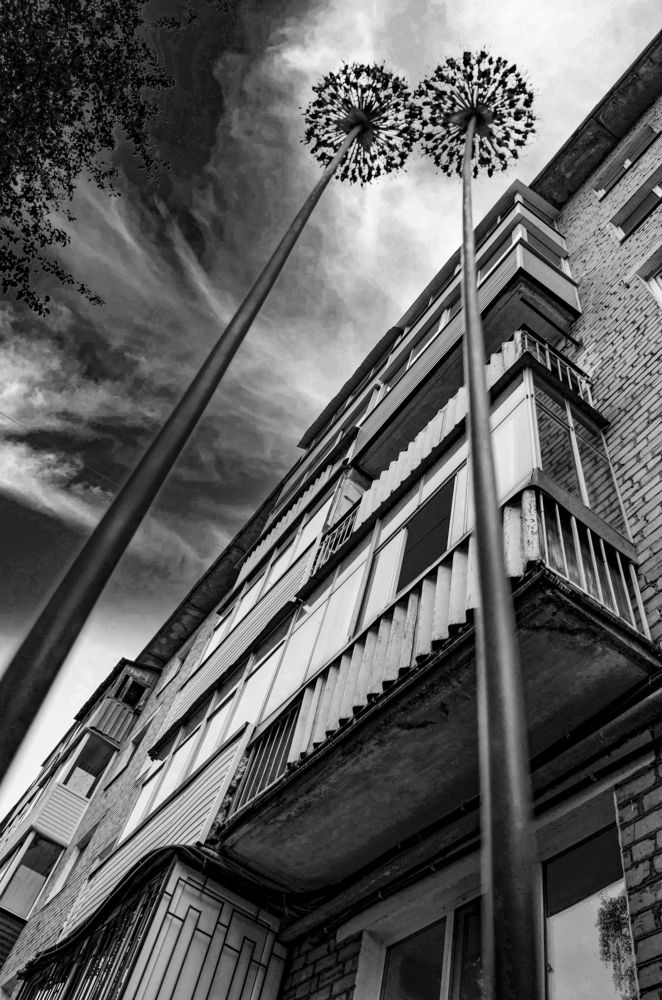 Photograph by Любовь Бусова