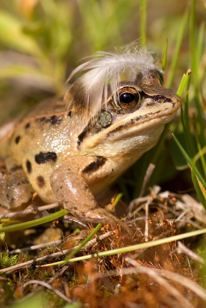 Красота это страшная сила.