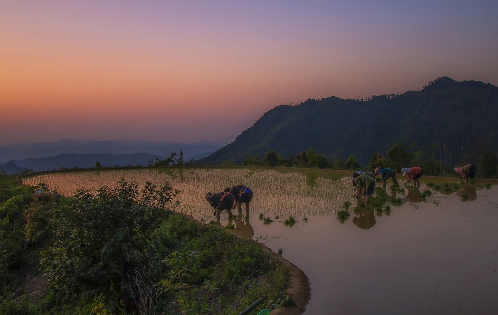 Photograph by Minh Chu Van