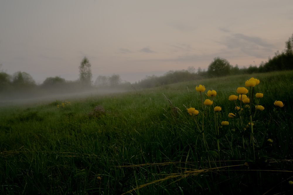 Photograph by Евгений Калагаев