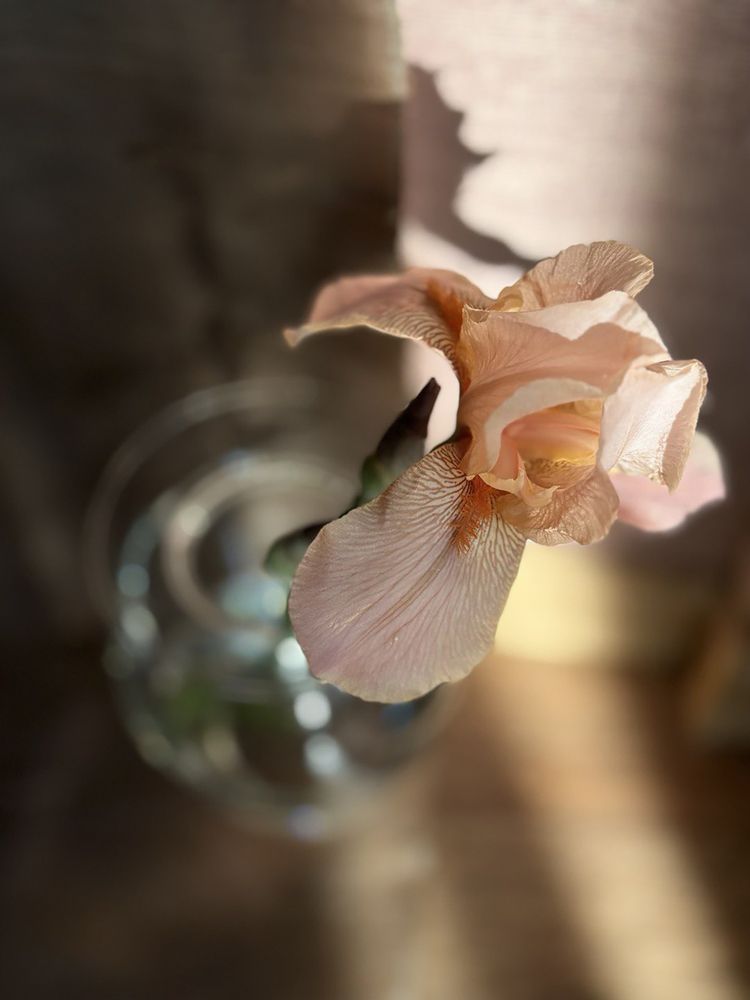 Photograph by Ольга Литвинова