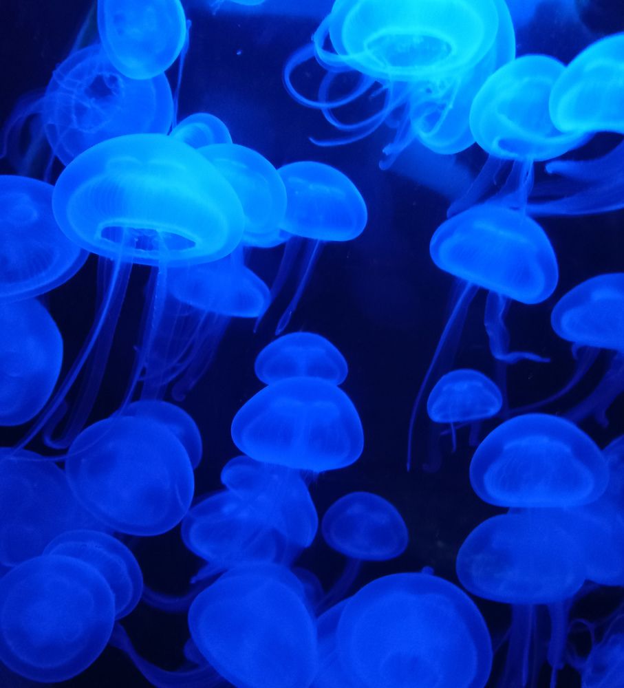 Photograph by Яна Чернега