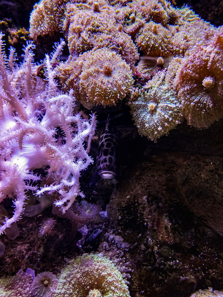 Photograph by Яна Чернега