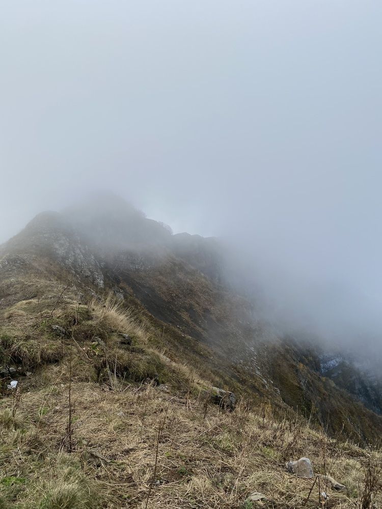 Photograph by Алиса Лукина