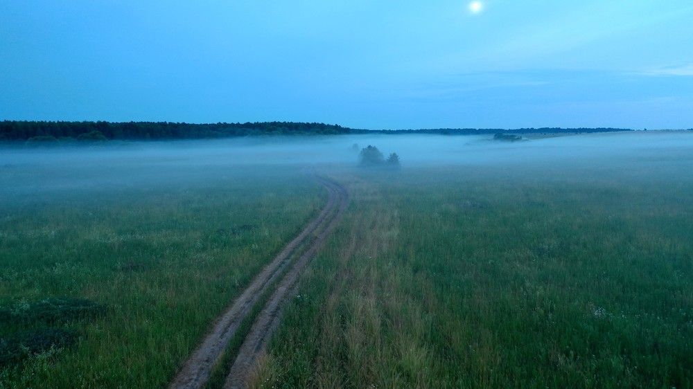 Photograph by Геннадий Ковалевский