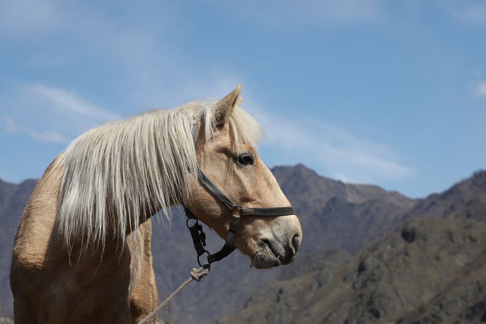 Photograph by Юлия Яковлева