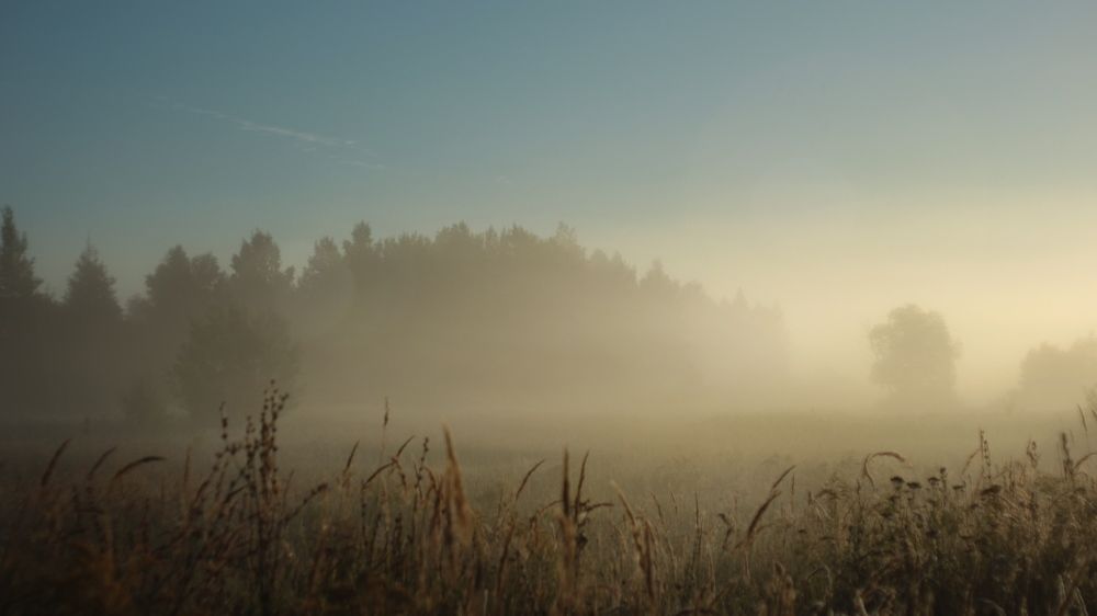 Photograph by Инна Карасева