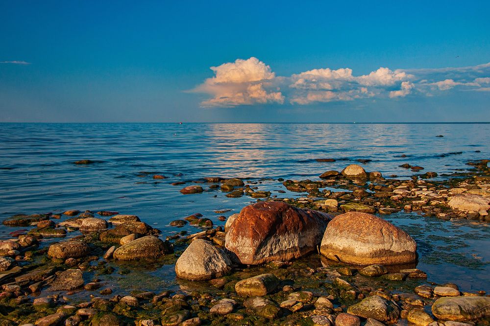 Photograph by Игорь Овсиенко