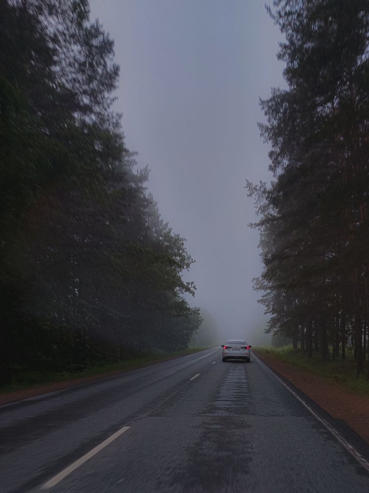 Photograph by Зульфия Вакилова