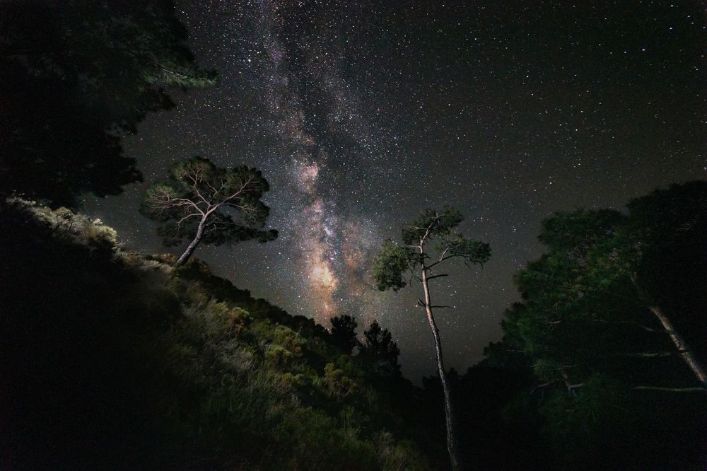 Photograph by Сергей Алимов