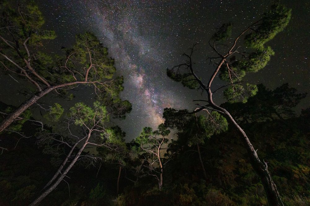 Photograph by Сергей Алимов