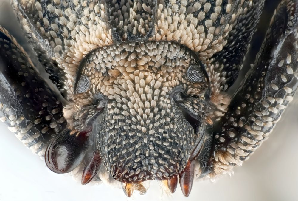 Photograph by Александр Трипольский