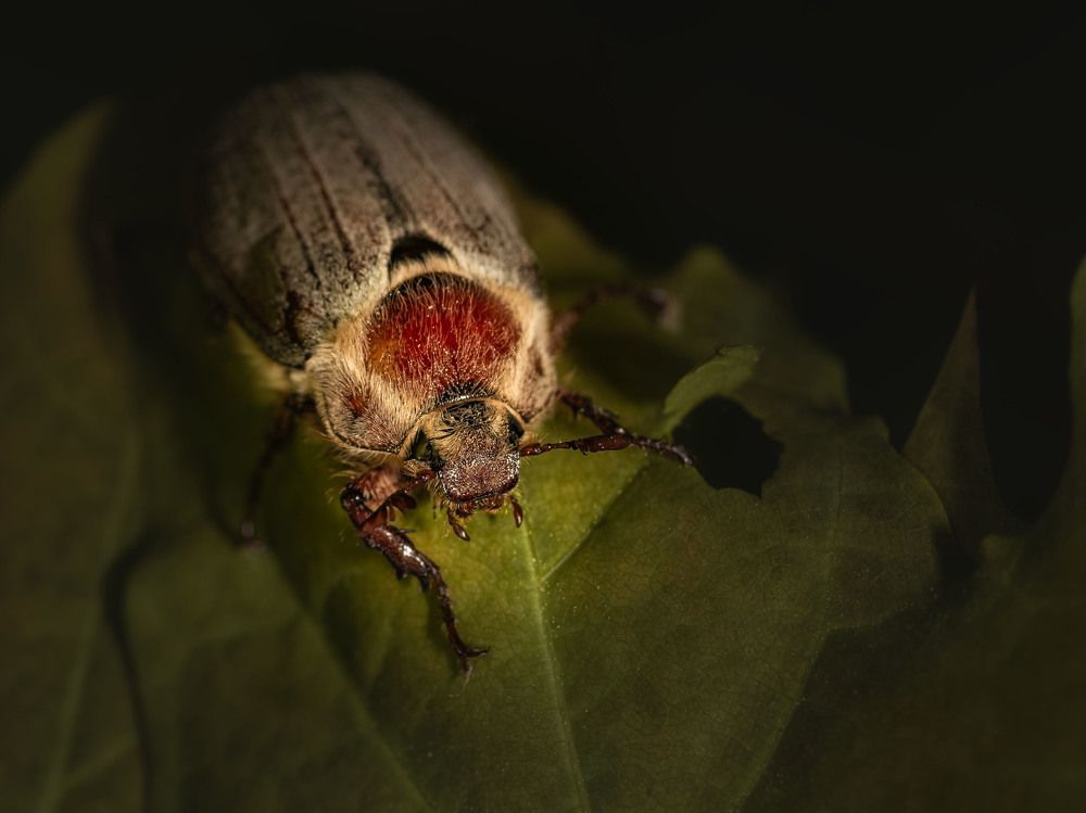 Photograph by Victor Stepanov