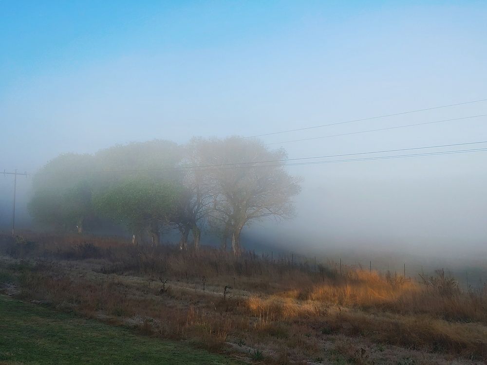 Photograph by Michelle Hart