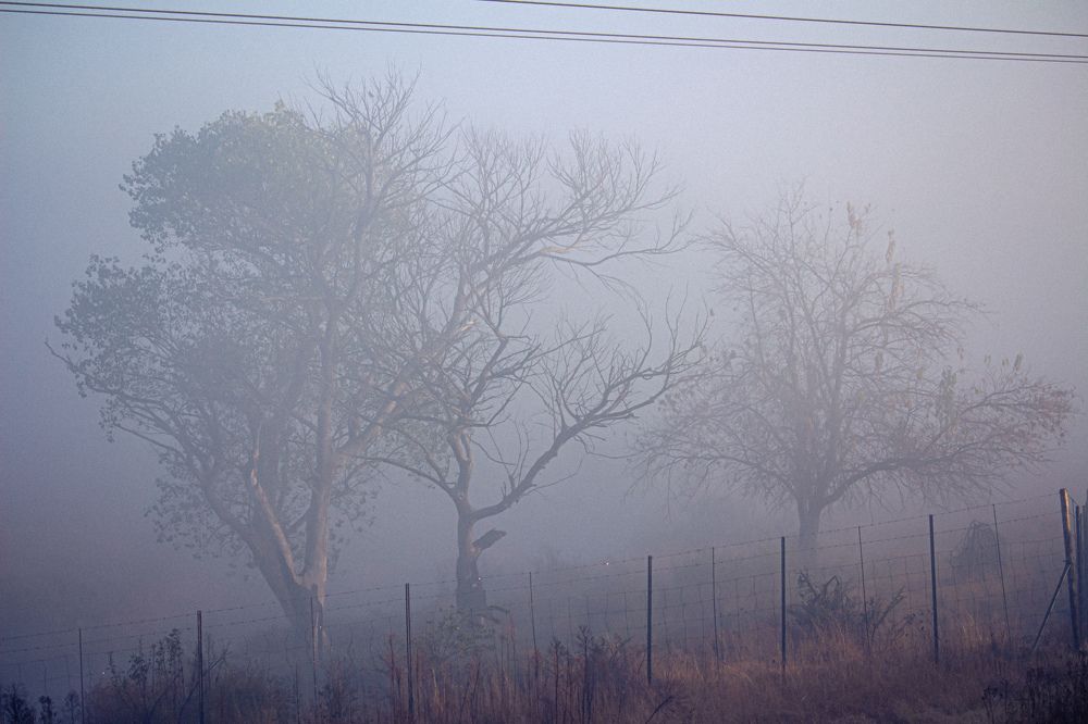 Photograph by Michelle Hart