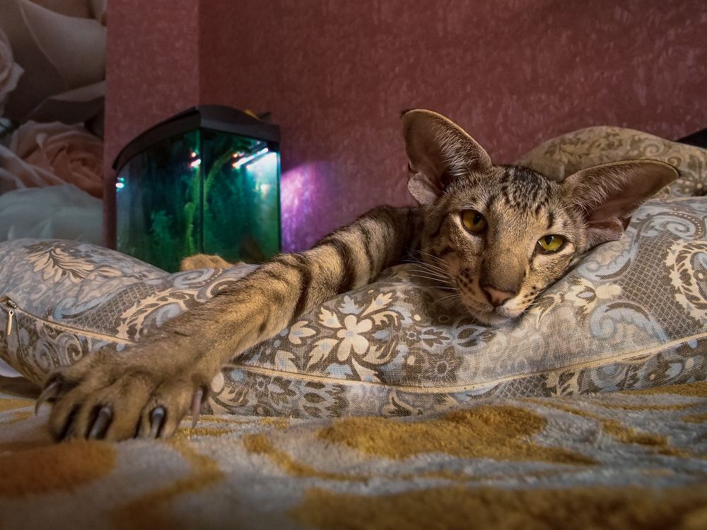 Photograph by Рязанов Юрий